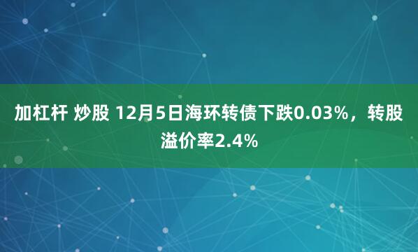 加杠杆 炒股 12月5日海环转债下跌0.03%，转股溢价率2.4%