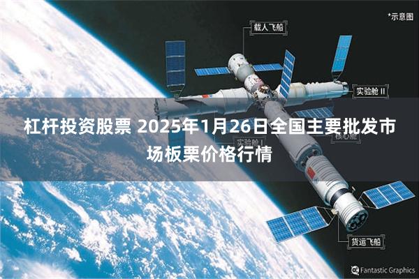 杠杆投资股票 2025年1月26日全国主要批发市场板栗价格行情