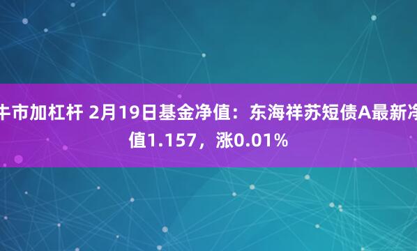 牛市加杠杆 2月19日基金净值：东海祥苏短债A最新净值1.157，涨0.01%