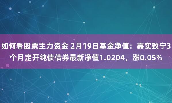 如何看股票主力资金 2月19日基金净值：嘉实致宁3个月定开纯债债券最新净值1.0204，涨0.05%